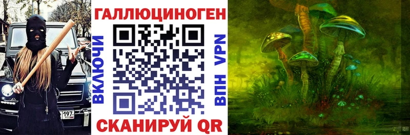 мега tor  где можно купить наркотик  Ростов-на-Дону  Галлюциногенные грибы MAGIC MUSHROOMS 